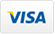 Visa credit card accepted